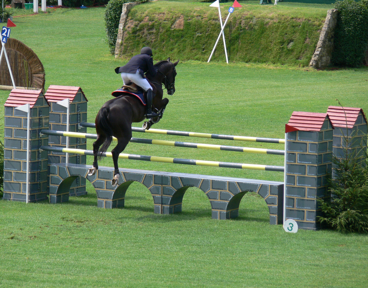Showjumping of horse and rider jumping